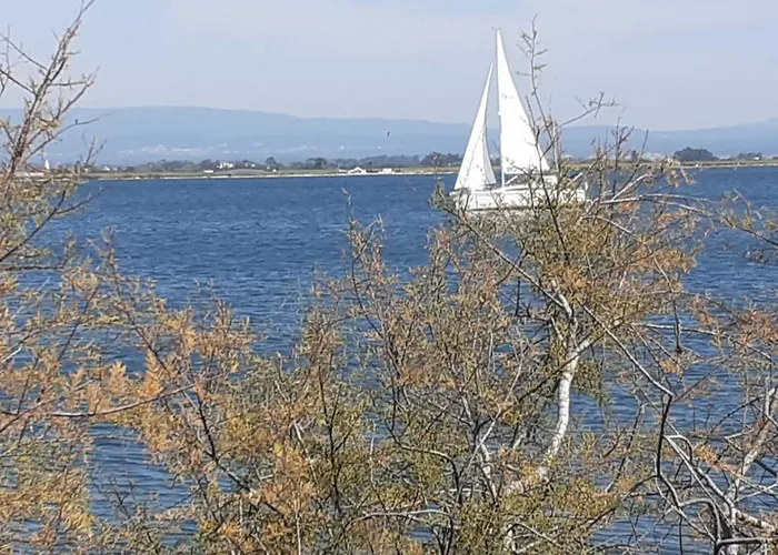 Casa Da Ria 78 - Family House 펜션 토레이라