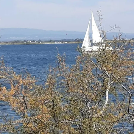 Casa Da Ria 78 - Family House Сasa de vacaciones Torreira