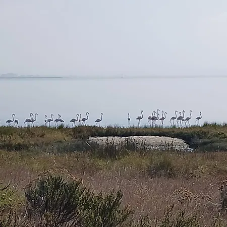 Casa Da Ria 78 - Family House *