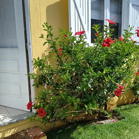 Holiday home Casa Da Ria 78