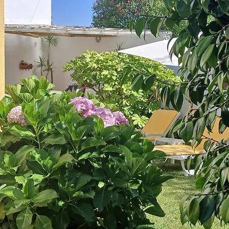 Casa Da Ria 78 Semesterbostad