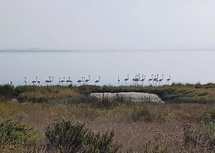 Casa Da Ria 78 - Family House *